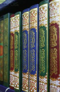Eight Ahadith Books of Umahat